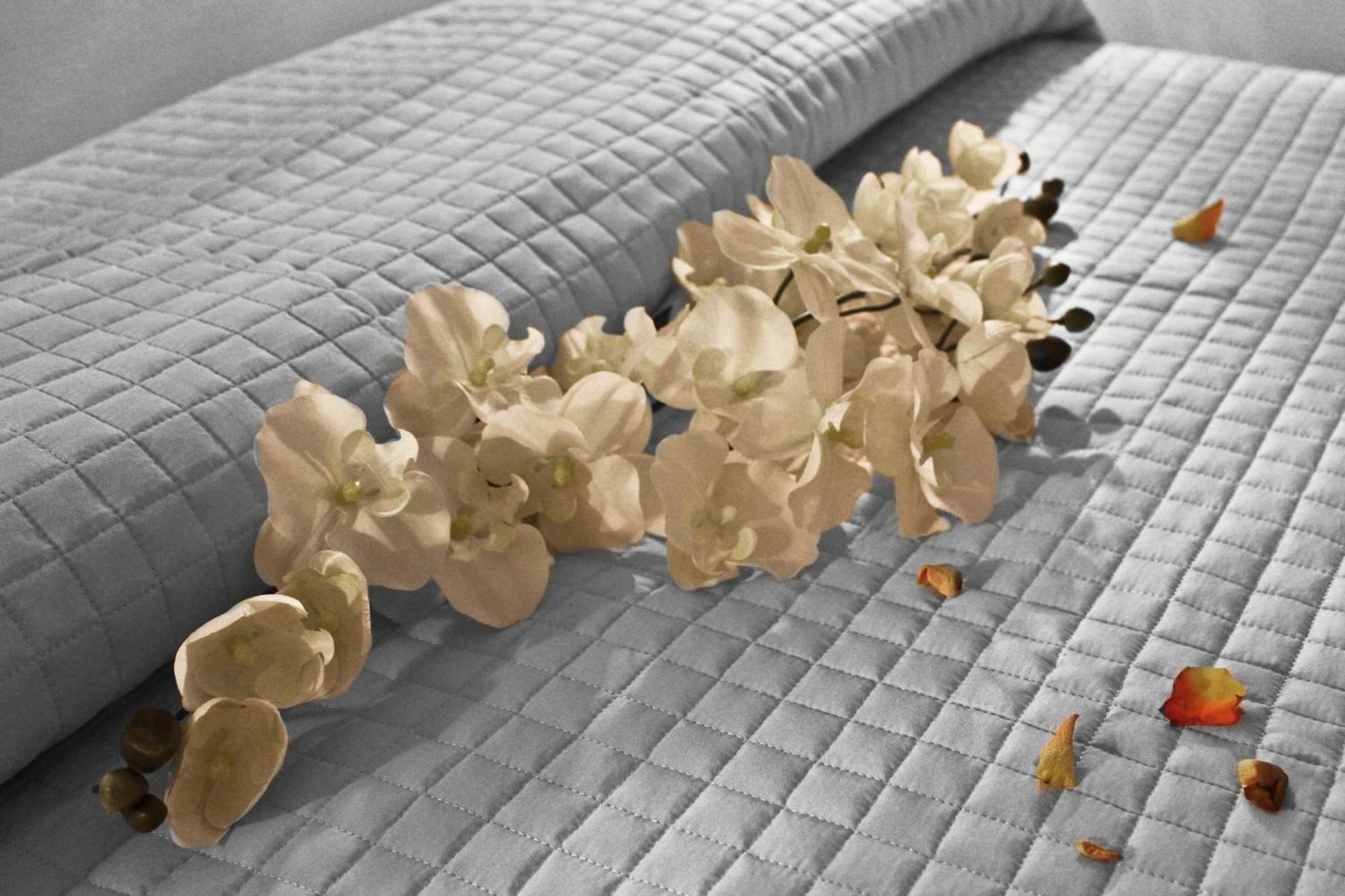 Anastasi Hotel E Residence Cervia Chambre photo